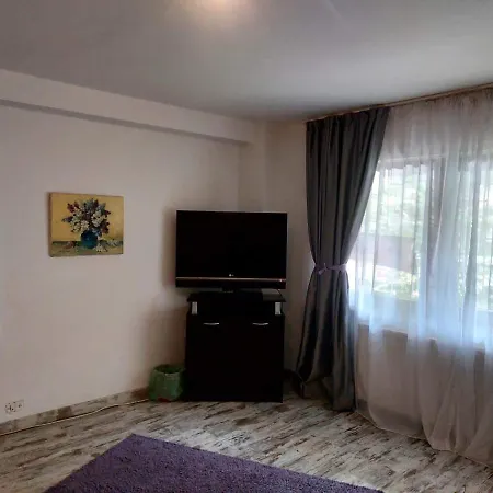 Apartment Huge 3 Apartament In City Center! Bucharest